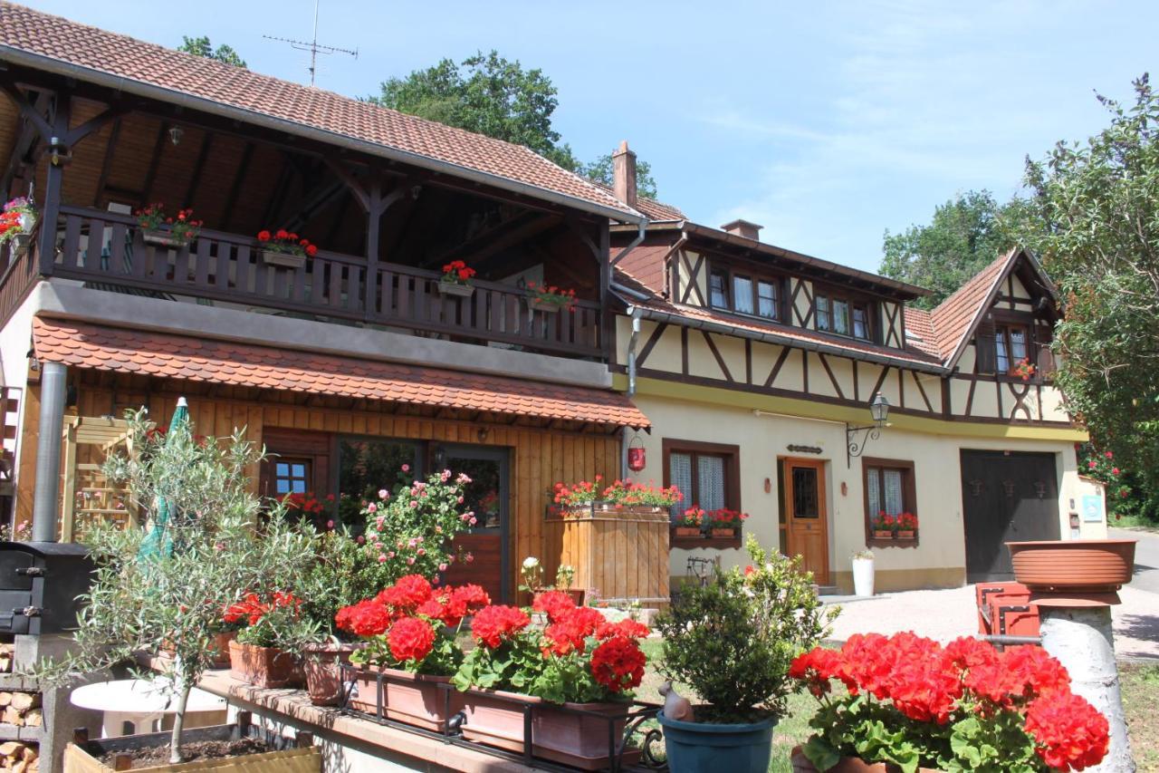 La Maison De Vacances Nothalten Buitenkant foto